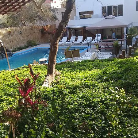 איקה Hospedaje Rocha מראה חיצוני תמונה