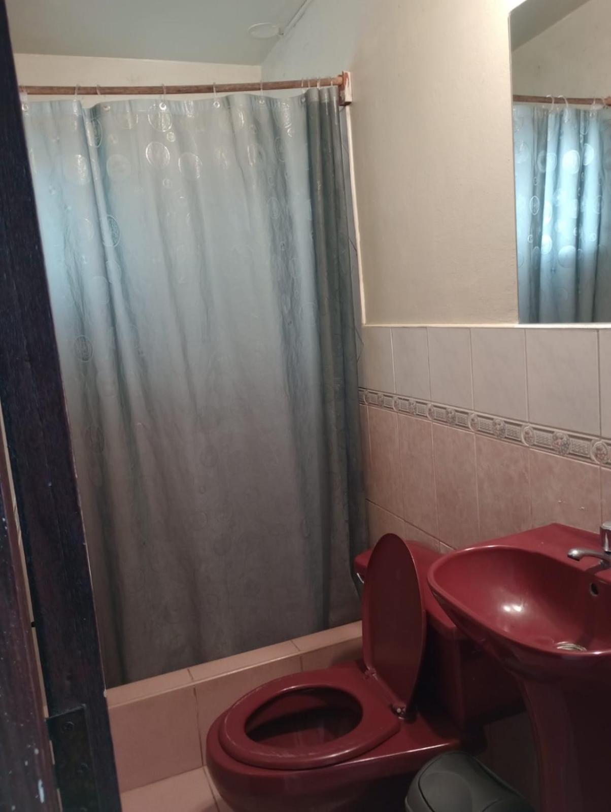 איקה Hospedaje Rocha מראה חיצוני תמונה