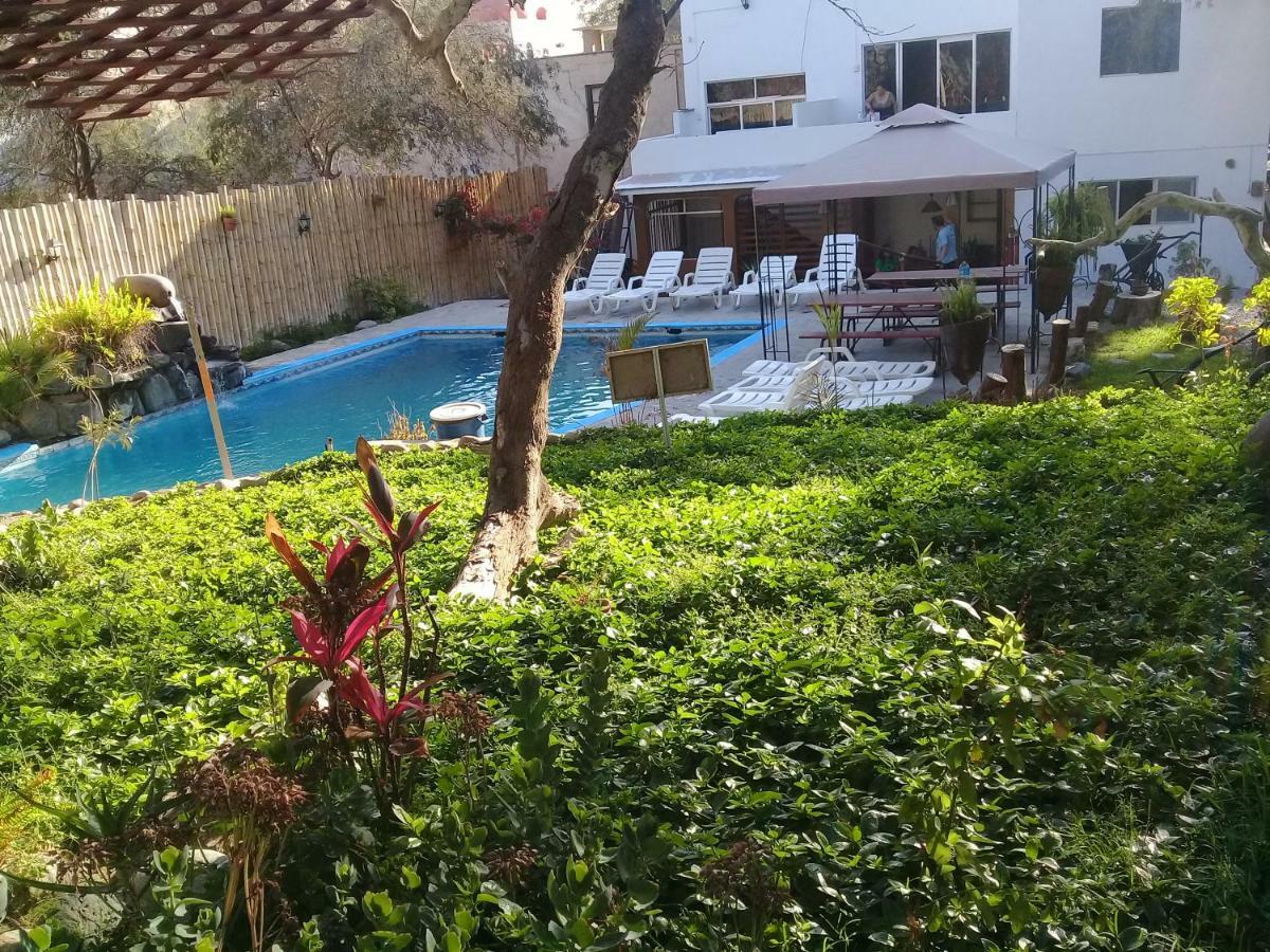 איקה Hospedaje Rocha מראה חיצוני תמונה